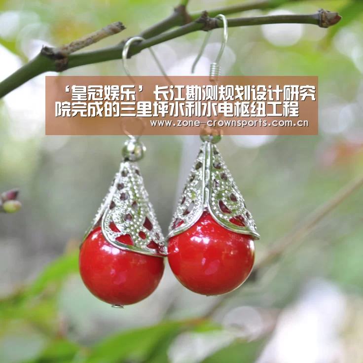 ‘皇冠娱乐’长江勘测规划设计研究院完成的三里坪水利水电枢纽工程地质勘察成果通过鉴定(图1) 皇冠体育